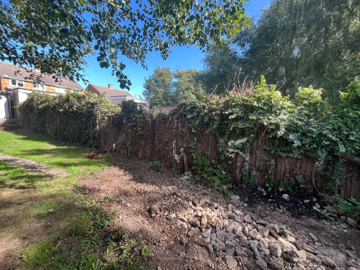 Old Ivy Covered Fence Removal Flitwick Medium
