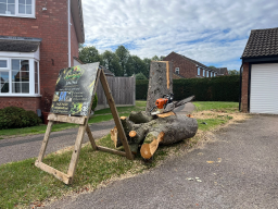 Tree Cutting Flitwick Small
