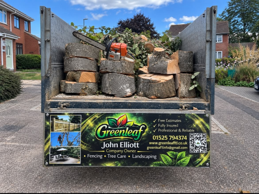 Tree Removal Work Flitwick Medium